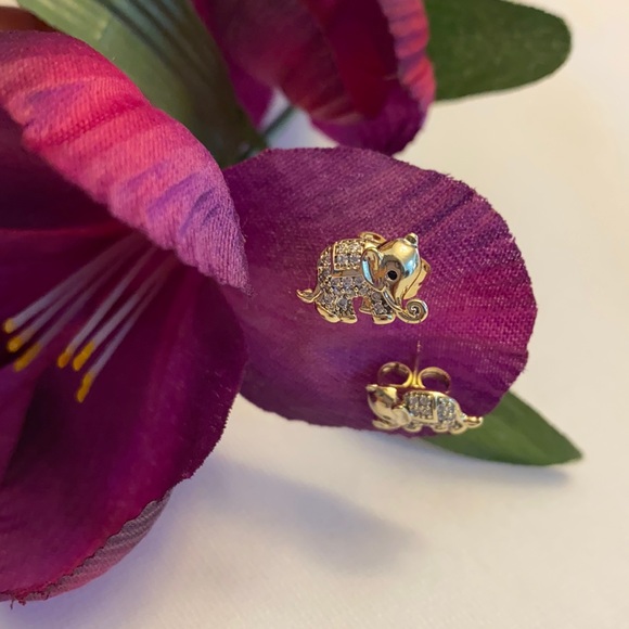 Other - 🐘Elefante earrings